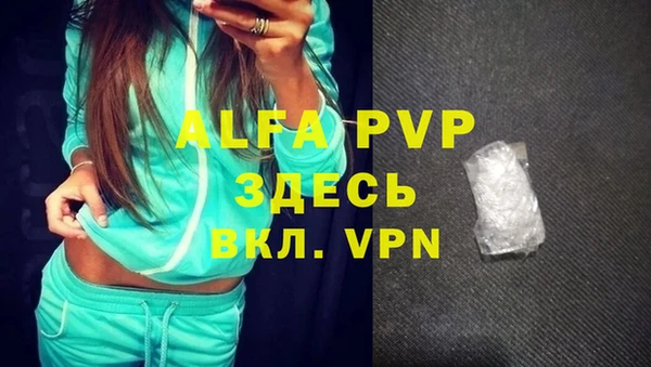 спиды Пересвет