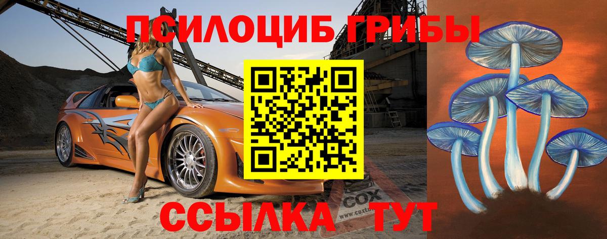 Псилоцибиновые грибы GOLDEN TEACHER  Псилоцибиновые грибы Magic Shrooms  Воронеж  Вход с VPN 