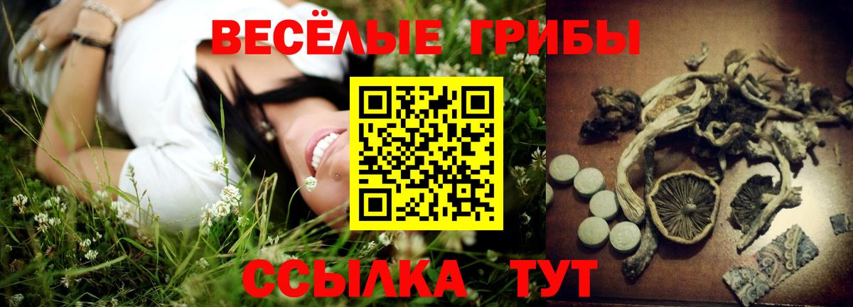 где купить   Воронеж  Псилоцибиновые грибы Psilocybine cubensis 