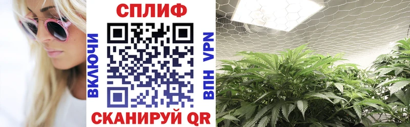 Каннабис планчик Воронеж